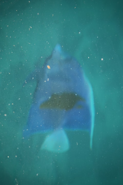 Strand Palm Beach Resort