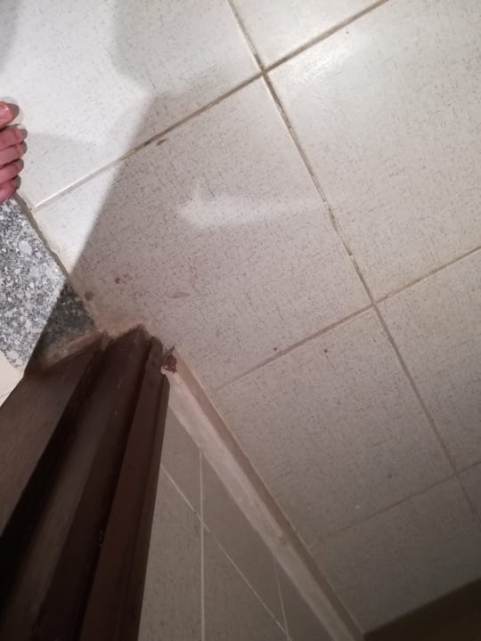 Zimmer Riviera Aqua Park Resort