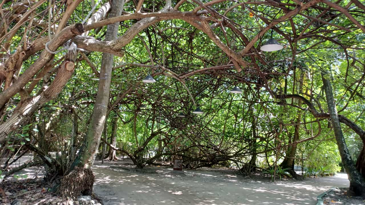 Gartenanlage Adaaran Select Meedhupparu Island Resort - Premium All Inclusive
