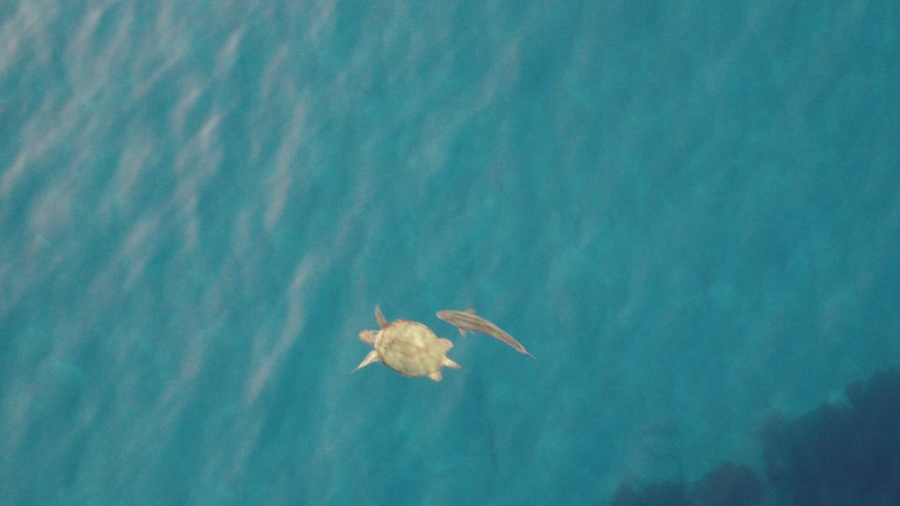 Strand Preveli Villas