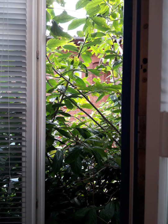 Ausblick Hotel Christine