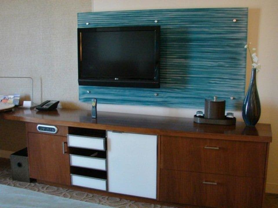 TV Hotel Hyatt Regency Grand Cypress