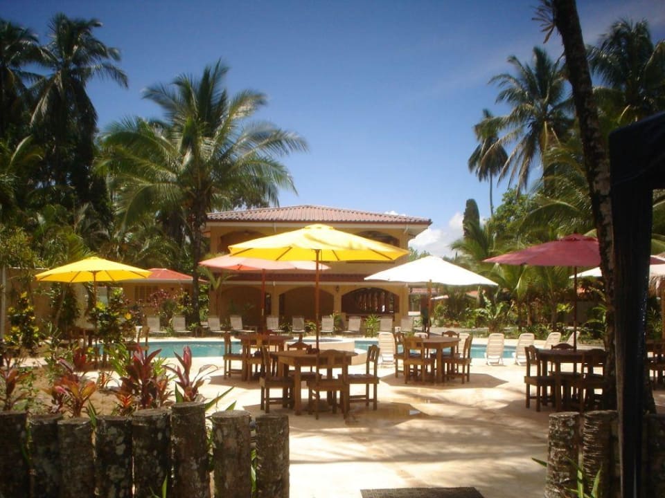 Piscina Hotel Playa Westfalia