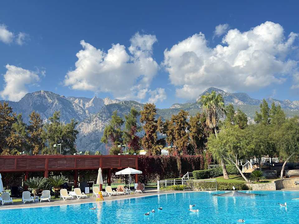 Pool TUI MAGIC LIFE Beldibi +16