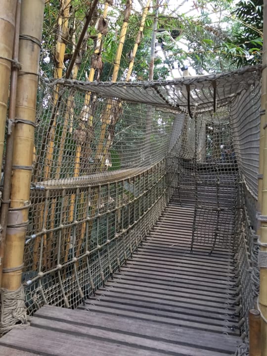 Sonstiges Center Parcs Het Heijderbos