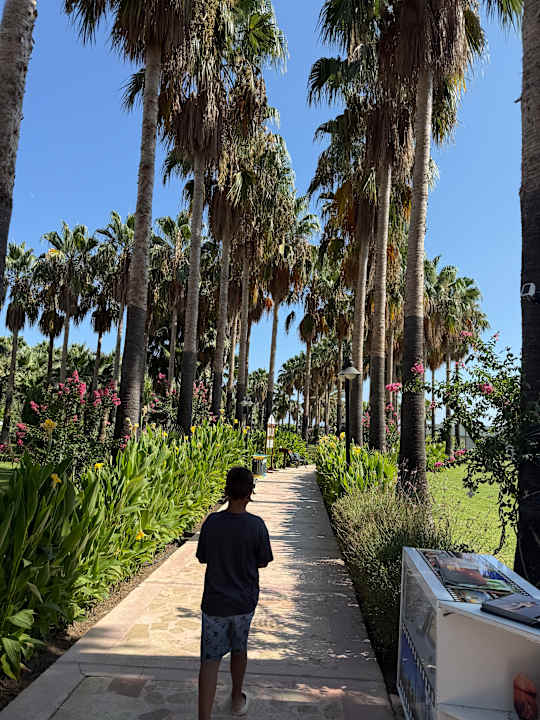 Gartenanlage Royal Atlantis Beach Hotel