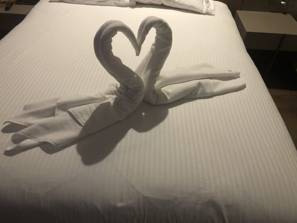 Zimmer Arycanda Kirman Premium