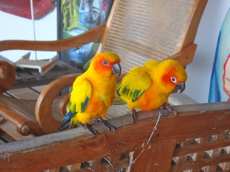 Paarweise NH Collection Maldives Reethi Resort