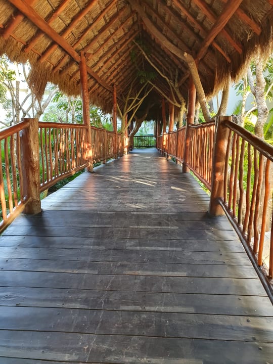 Lobby Akumal Bay Beach & Wellness Resort