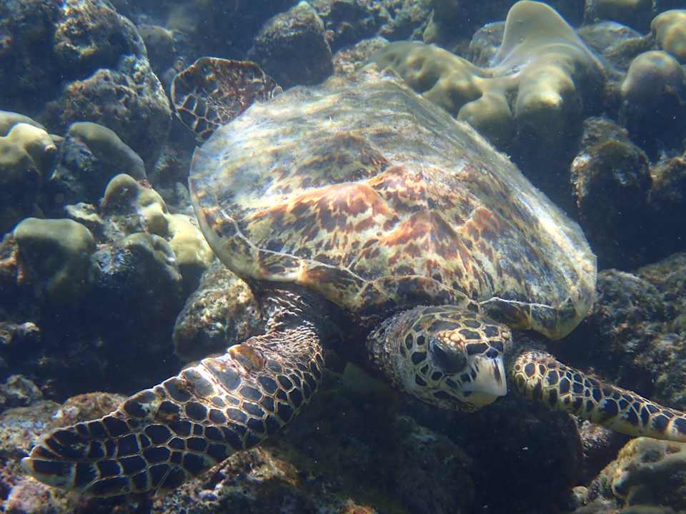 Strand Thulhagiri Island Resort