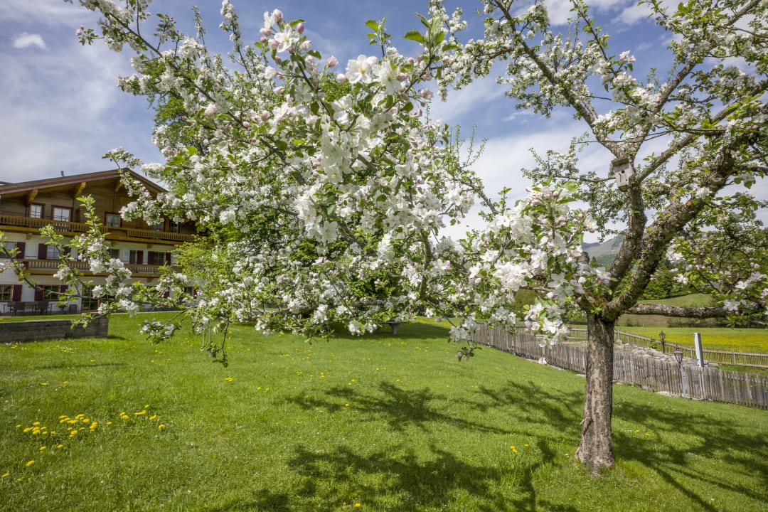 Gartenanlage Feriengut Unterhochstätt