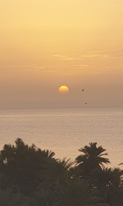 Ausblick Marhaba Royal Salem