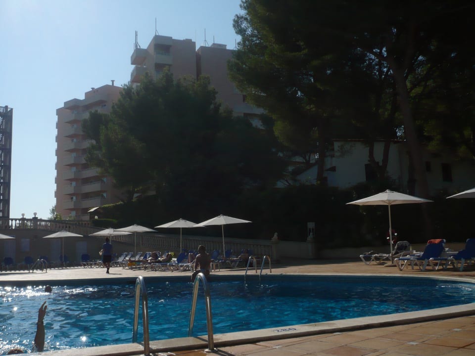 Pool Grupotel Orient