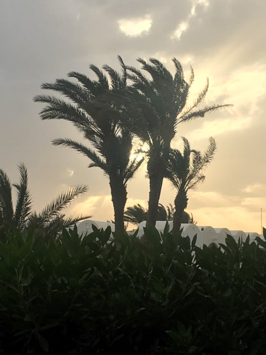 Gartenanlage Hotel Seabel Rym Beach Djerba