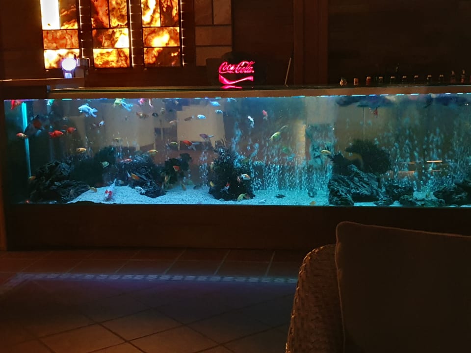 Gastro Hotel Grand Side