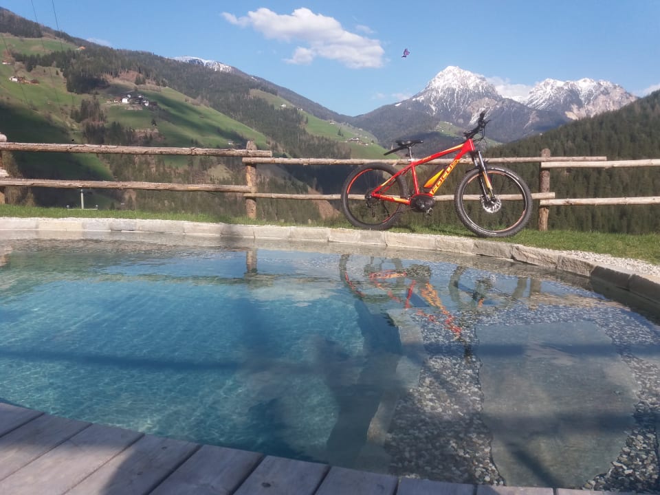 Ausblick Naturchalet Rinkwein & EinStein