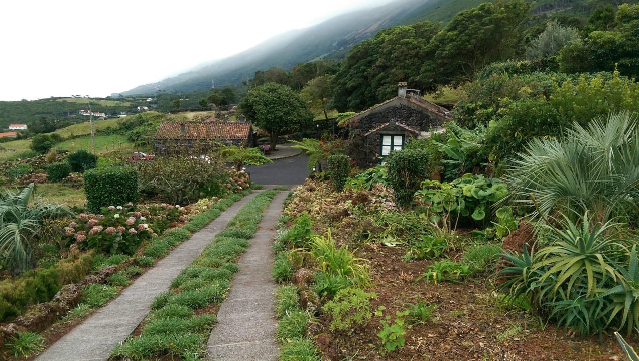 Adegas do Pico Prainha Adegas Do Pico