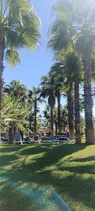 Strand Hotel Süral Resort