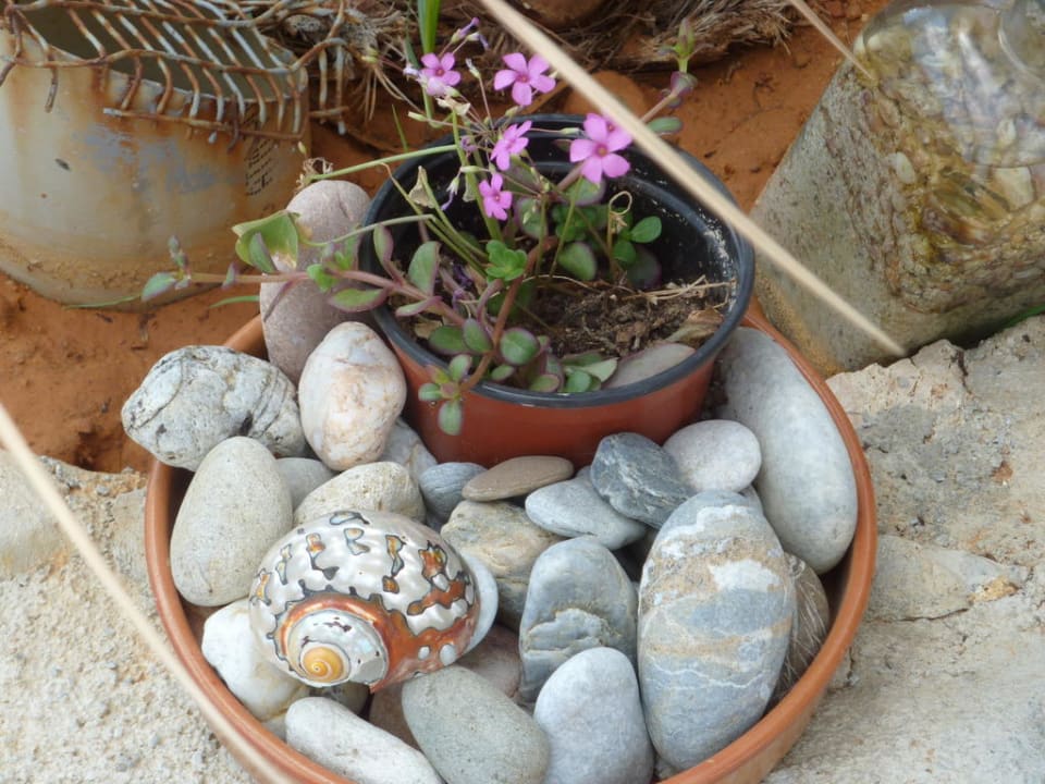 Nette kleine Ecken Hotel Kathrin Beach