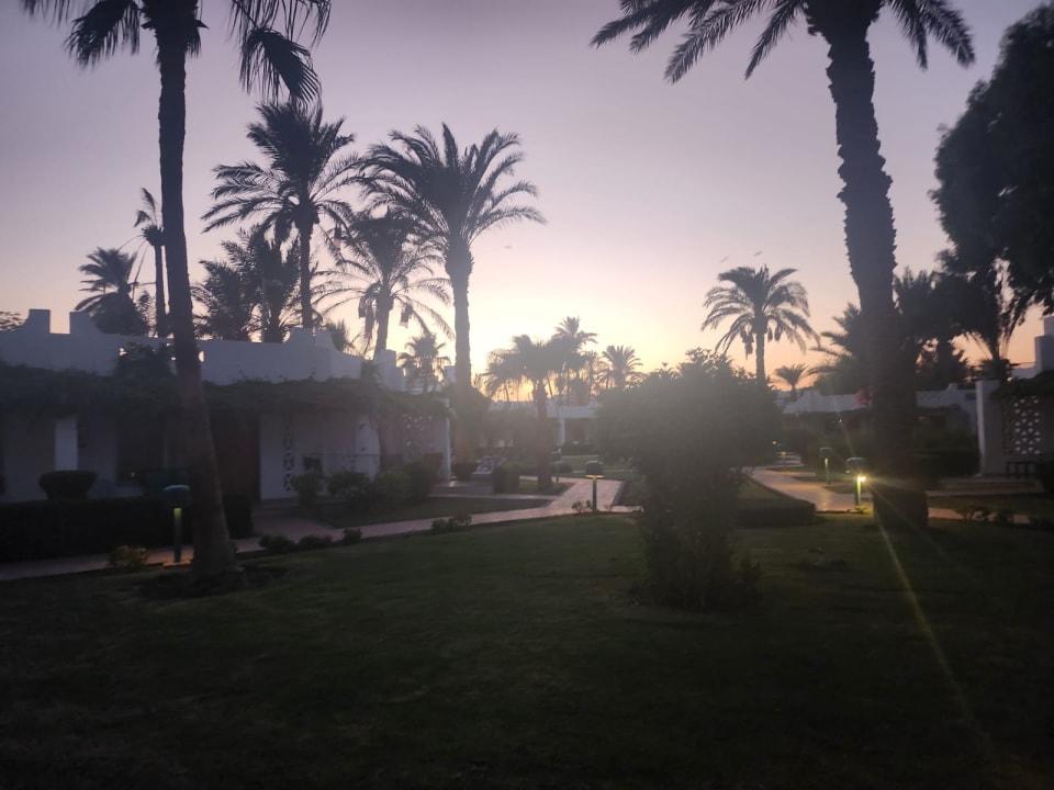 Gartenanlage Shams Safaga Resort