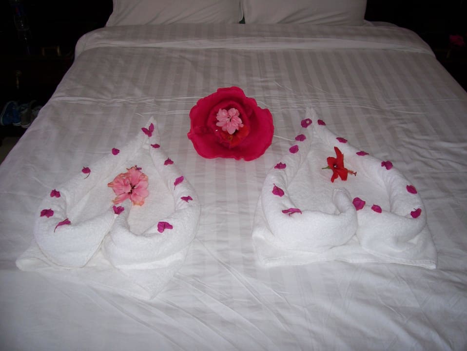 Valentinstag auf ägyptisch Three Corners Happy Life Beach Resort