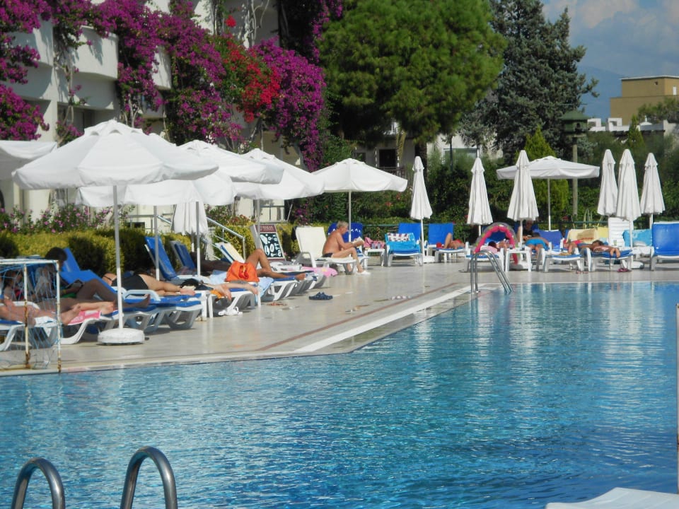 Pool Bieno Club Venüs Hotel &Spa