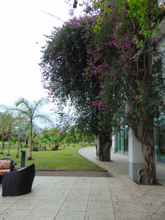 Gartenanlage Sofitel Malabo Sipopo Le Golf