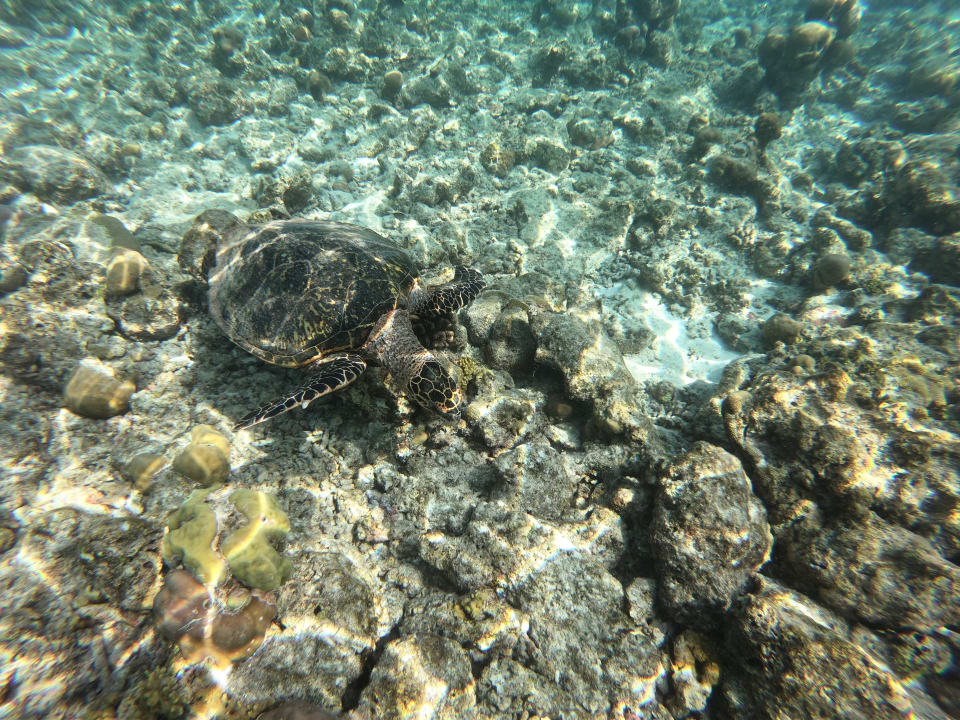 Strand Adaaran Select Meedhupparu Island Resort - Premium All Inclusive