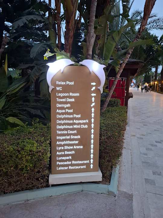 Pool Hotel Delphin Imperial