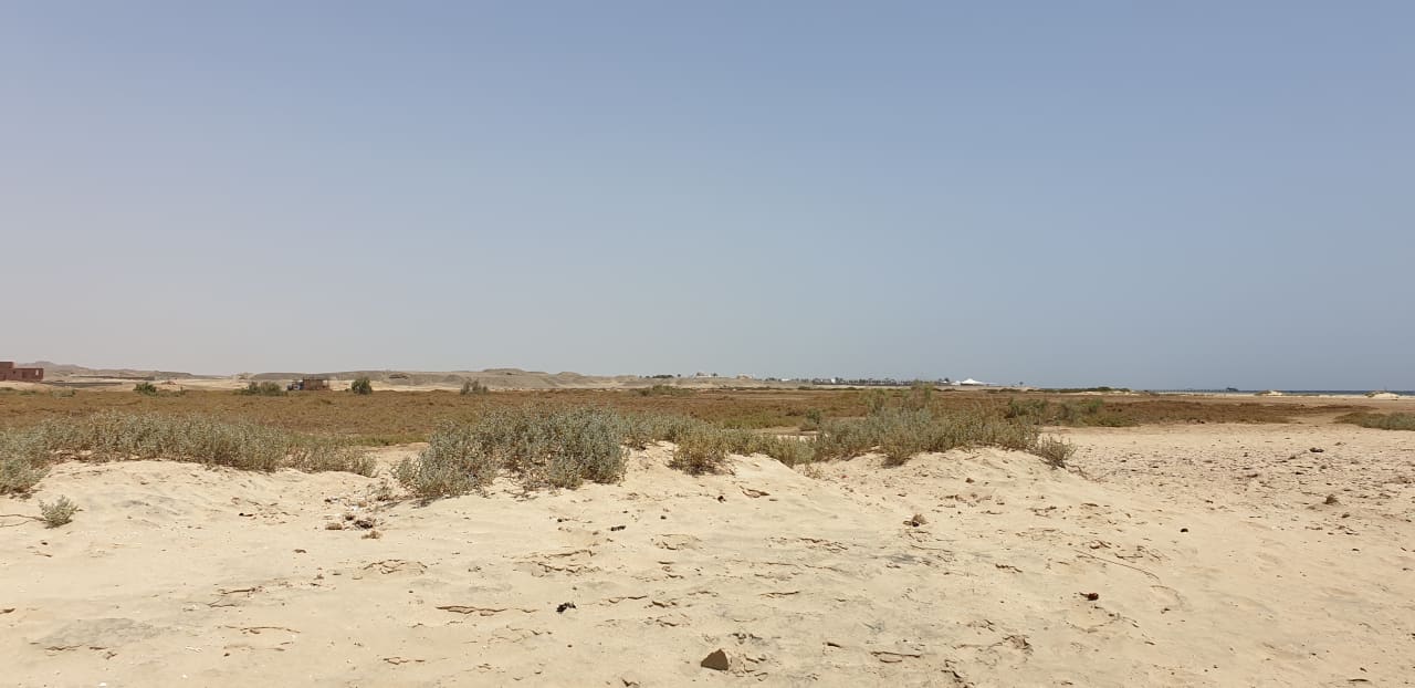 Ausblick Shams Alam Beach Resort