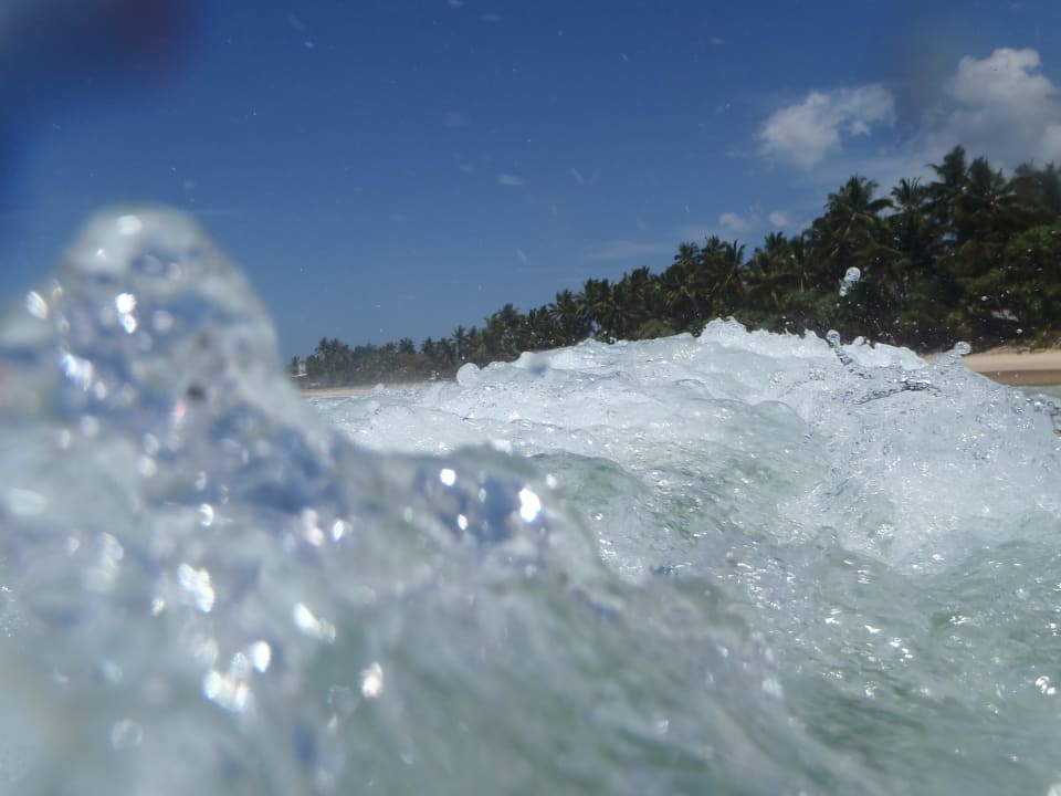 Kampf mit den Wellen Hotel Haus am Meer Wilde Ananas