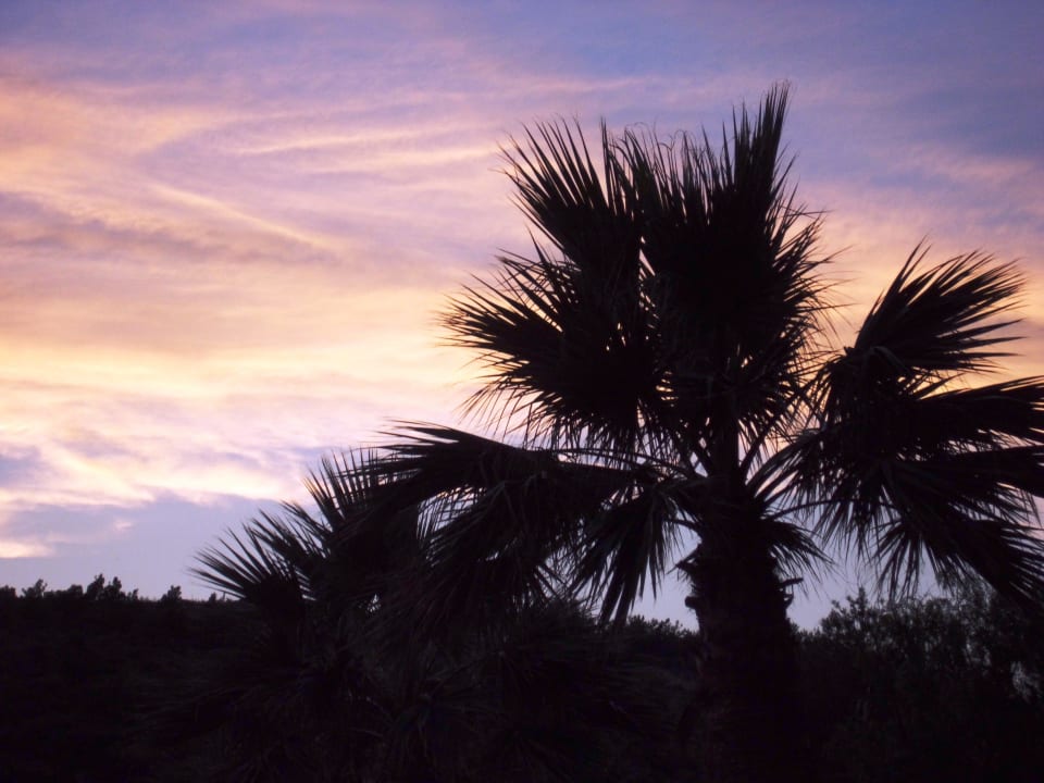 Abendhimmel über dem Garten Tusan Beach Resort