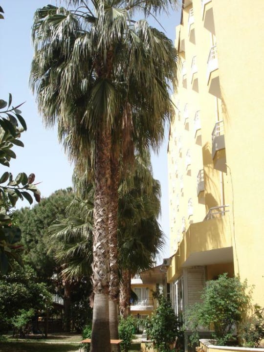 Seitenaussicht Incekum Su Hotel