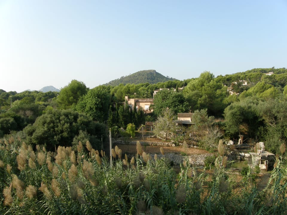 Ausblick Lago Garden