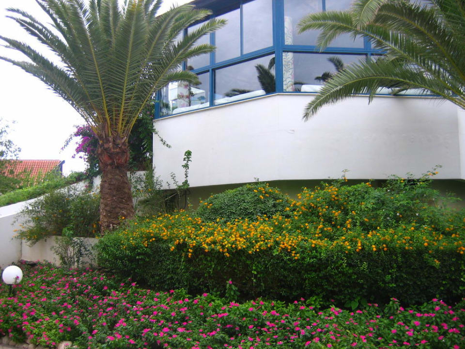 Территория отеля Sunrise Resort Hotel