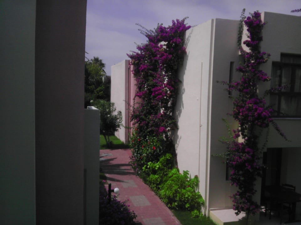 . VONRESORT Golden Beach