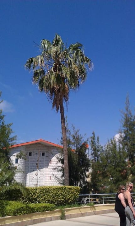 Steht am Eingang Belek Beach Resort Hotel