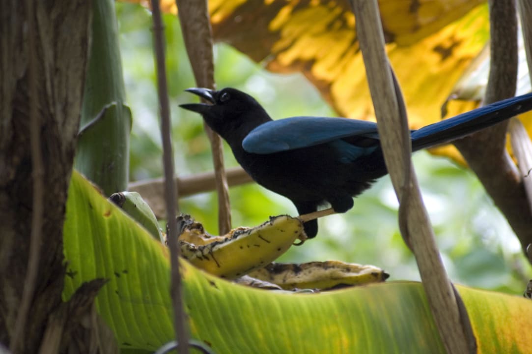 Augen auf gibt viel zu entdecken! Grand Palladium Kantenah Resort & Spa