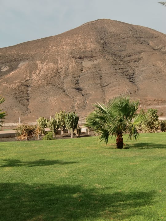 Ausblick allsun App.-Hotel Esquinzo Beach