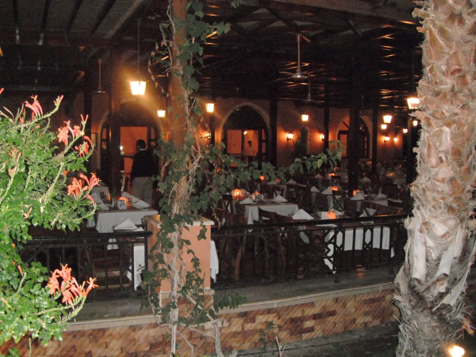 Familyrestaurant am Abend Jaz Makadi Oasis Resort