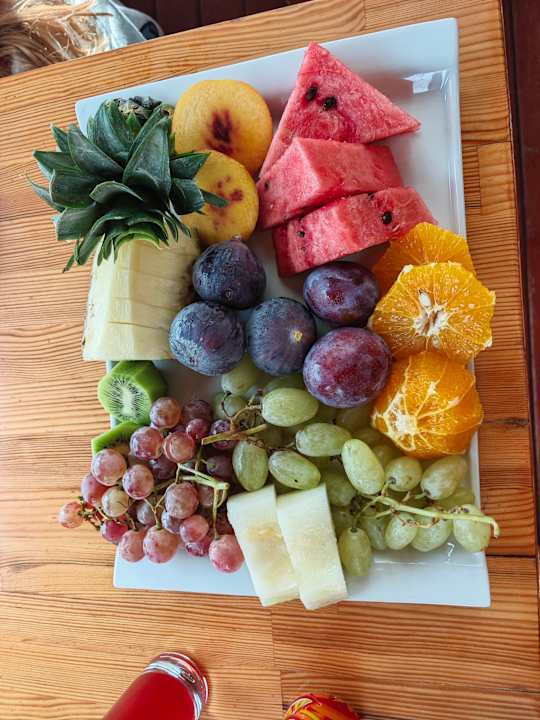 Gastro Delphin BE Grand