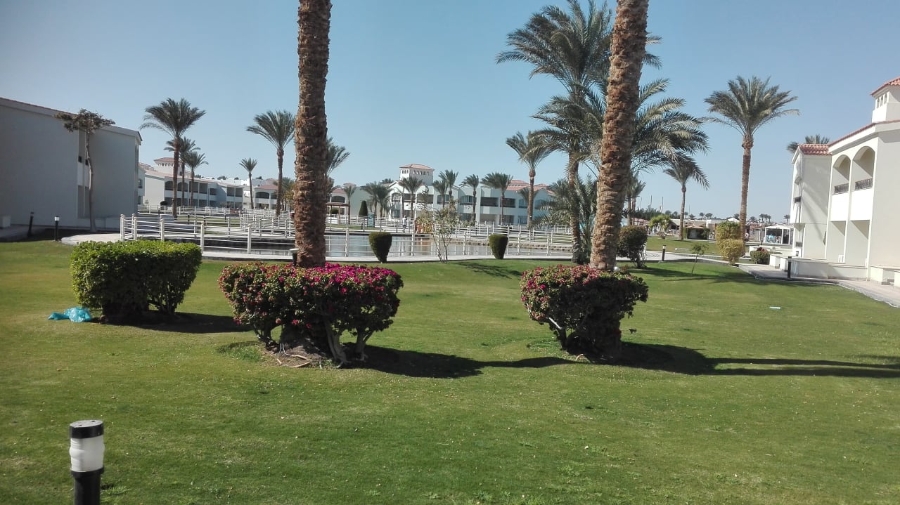 Ausblick Pickalbatros Dana Beach Resort - Hurghada