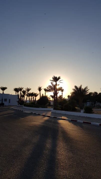Ausblick Hotel El Mouradi Djerba Menzel