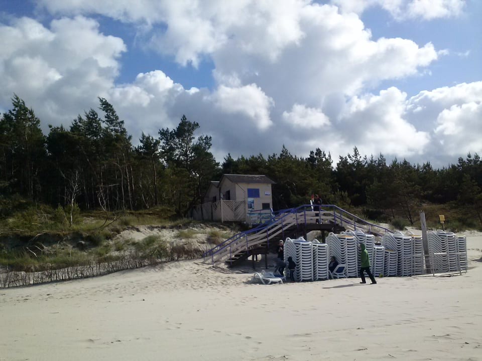 Jede Menge Strandliegen warten auf die Gäste Hotel Senator