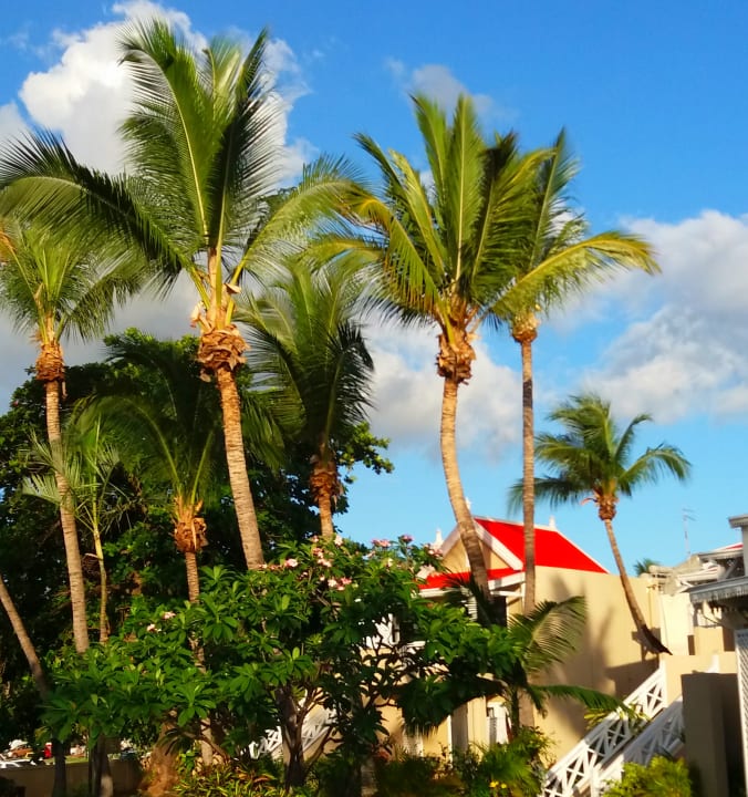 Außenansicht Hotel Villas Caroline