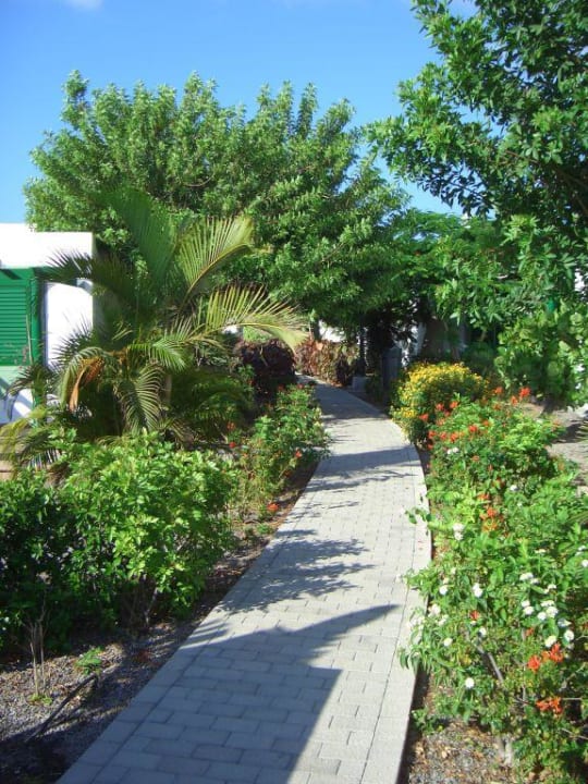 Rundweg Bungalows Cordial Sandy Golf