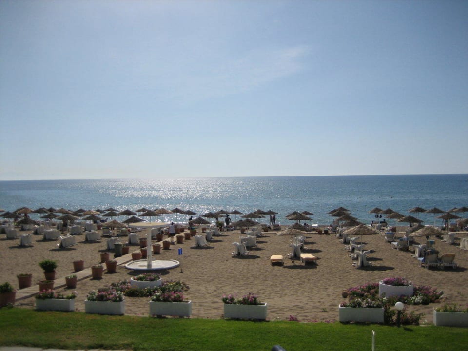 Vom Hotel Blick auf den Strand Hotel Calypso Beach