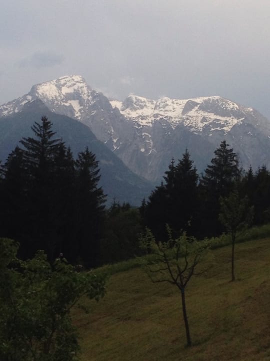 Ausblick vom Zimmer Pension Scheuerbichl