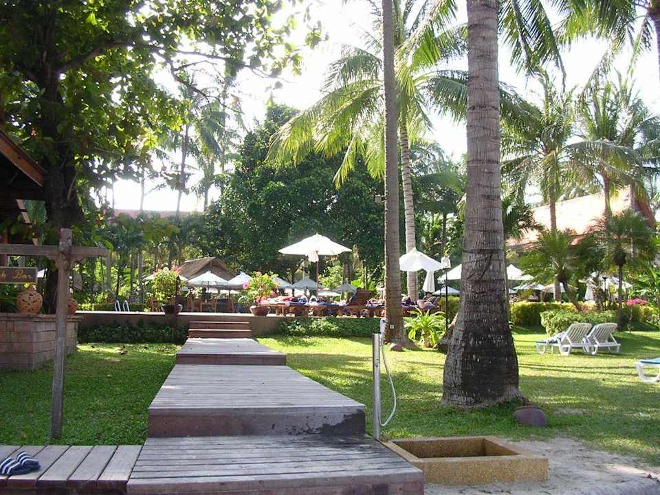 Blick zum Pool Hotel Chaweng Blue Lagoon Resort