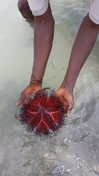 Strand Neptune Village Beach Resort & Spa
